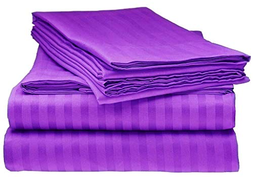 Purple Stripe