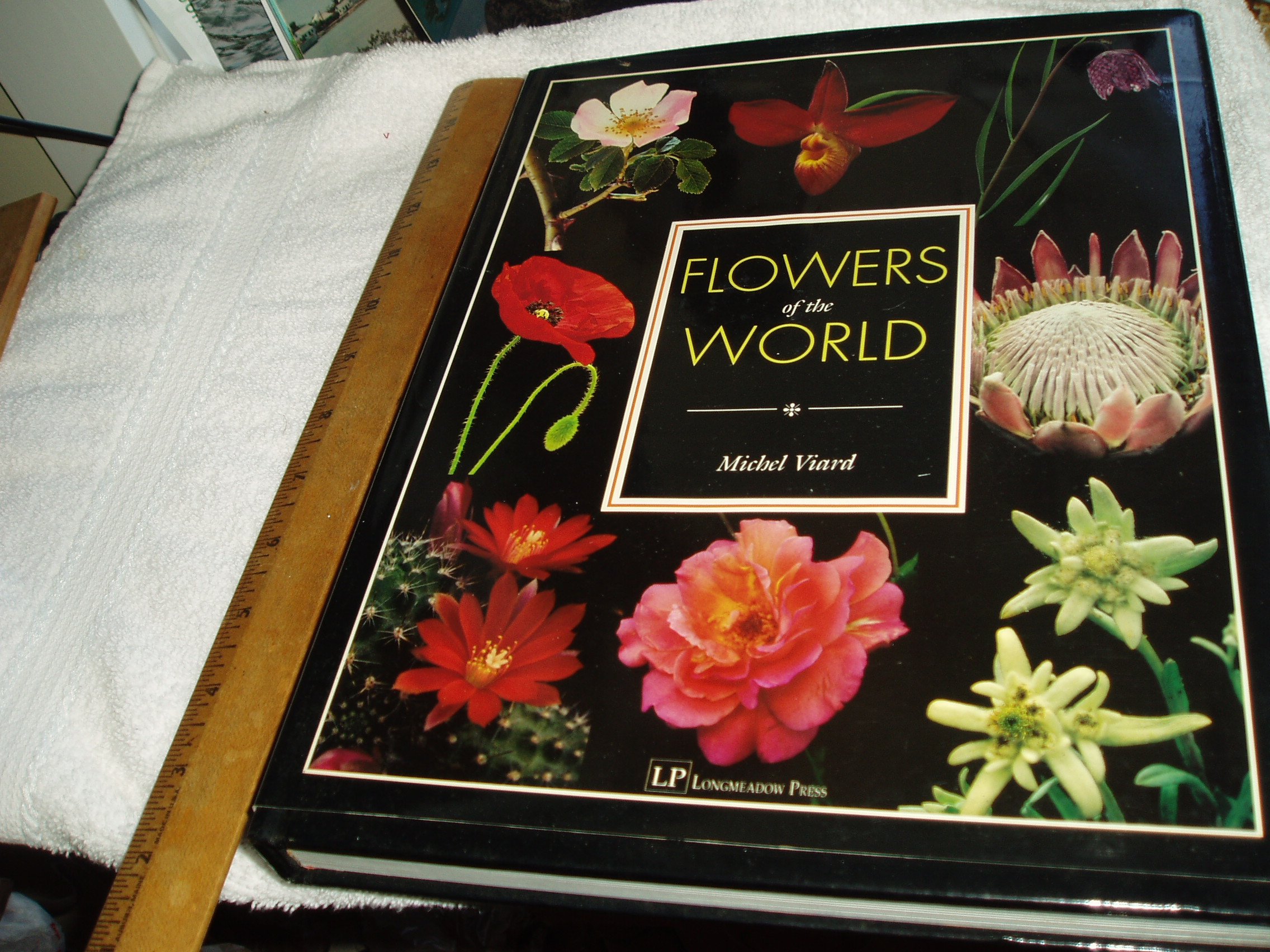 Beautiful Flowers of the World - Fresh Cut & Artificial Blooms for Home Decor, Wedding Bouquets & Gift Giving