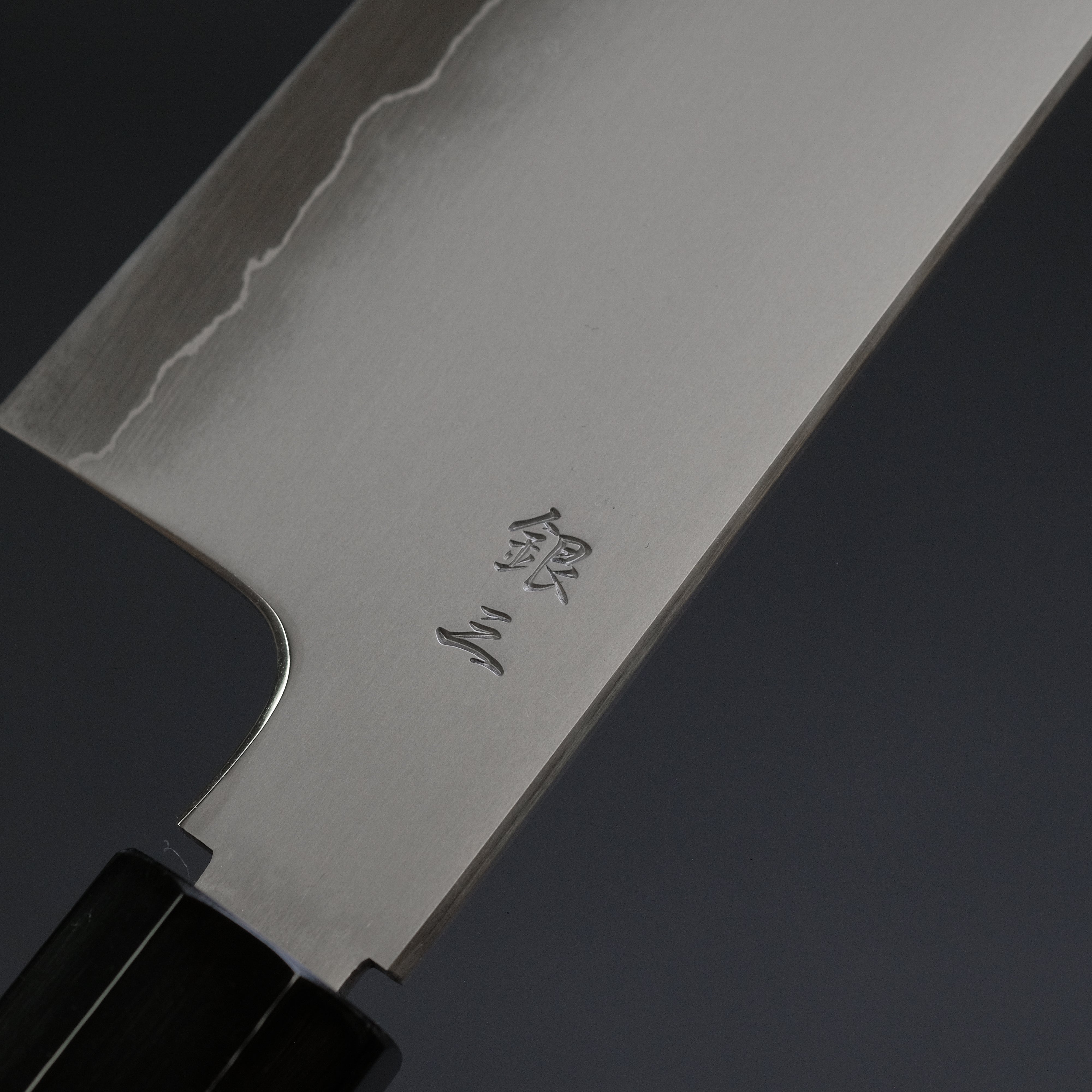Premium Tetsujin Silver #3 Kasumi Gyuto 210mm Japanese Chef Knife with Taihei Tagayasan Handle - Perfect for Sushi, Meat Slicing & Professional Kitchen Use