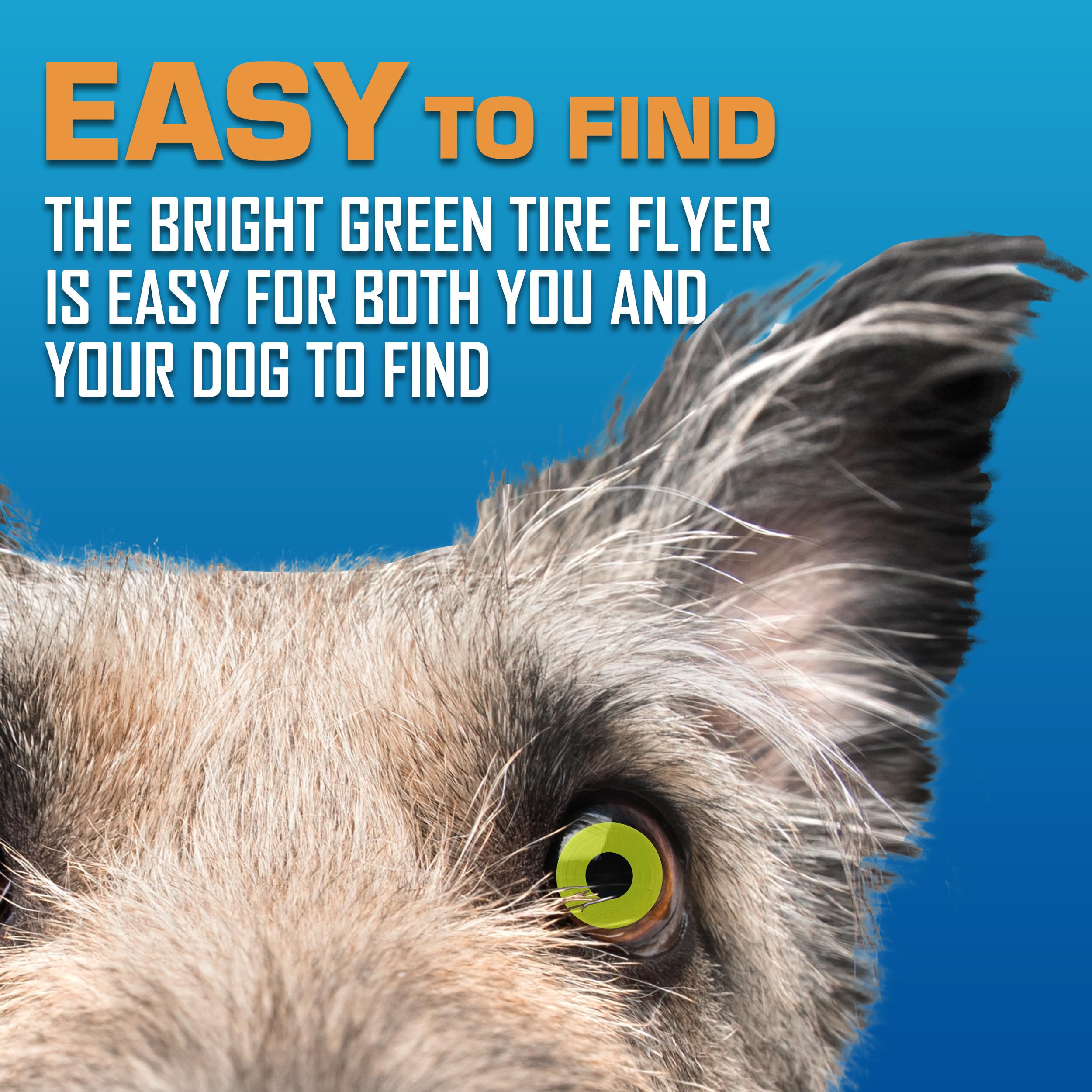 Nerf Dog Atomic Flyer - 10 Inch Durable Rubber Flying Disc Dog Toy for Medium & Large Breeds - Perfect for Outdoor Fetch, Beach Play & Backyard Training - Green