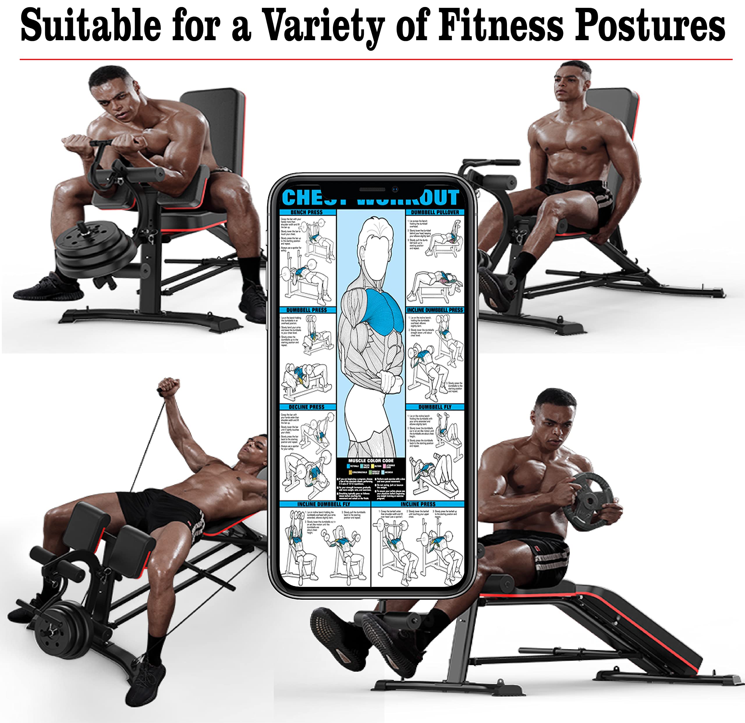 EASY BIG Adjustable Weight Bench with Leg Extension - Multi-Position Strength Training Bench for Dumbbell Exercises, Ab Workouts & Home Gym (Ideal for Full-Body Workouts & Small Spaces)