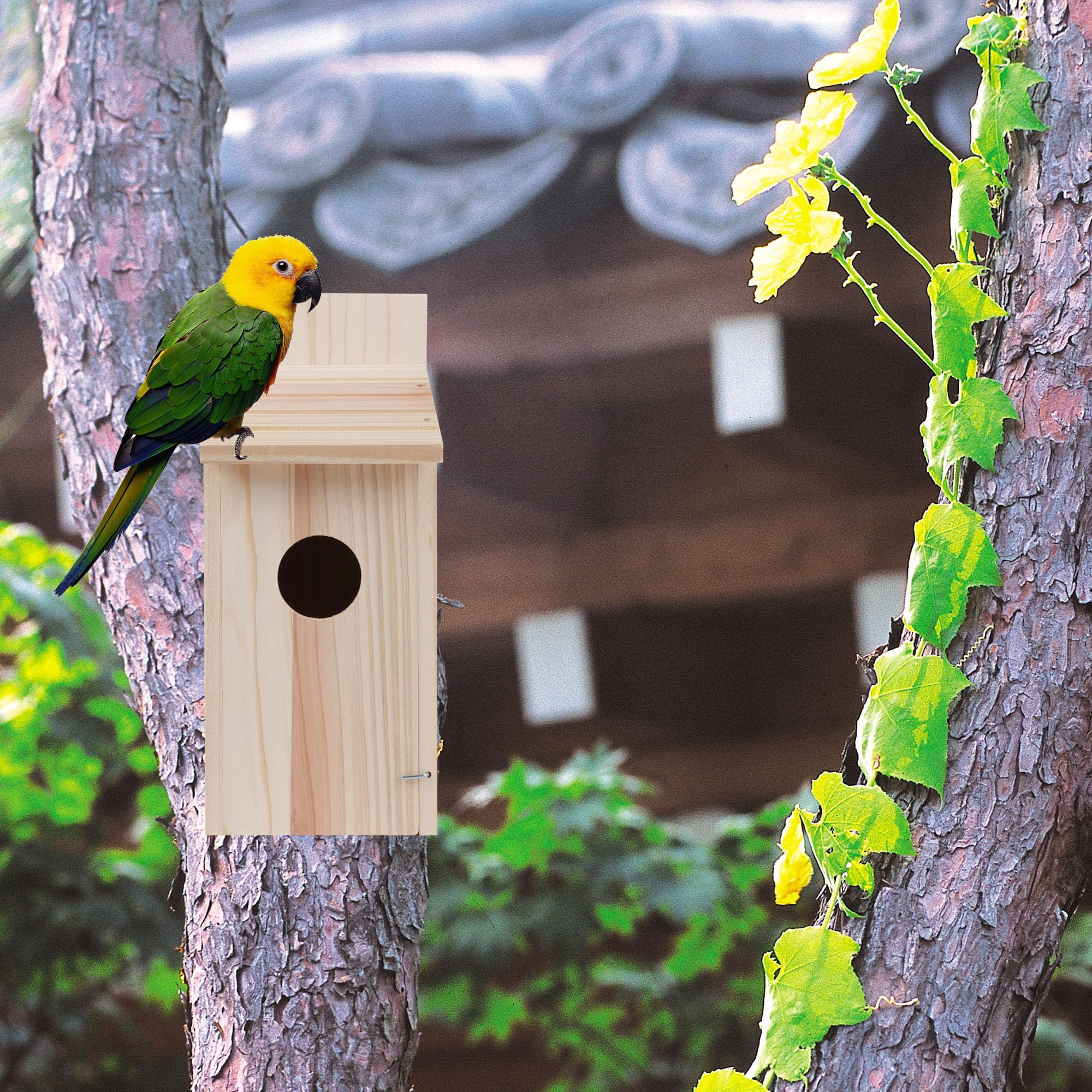 Premium Cedar Bluebird House - Natural Wooden Birdhouse for Outdoor Use, Finch & Wren Nesting Box, DIY Hummingbird Shelter (1 Pack) - Perfect for Backyard Birdwatching & Garden Decoration