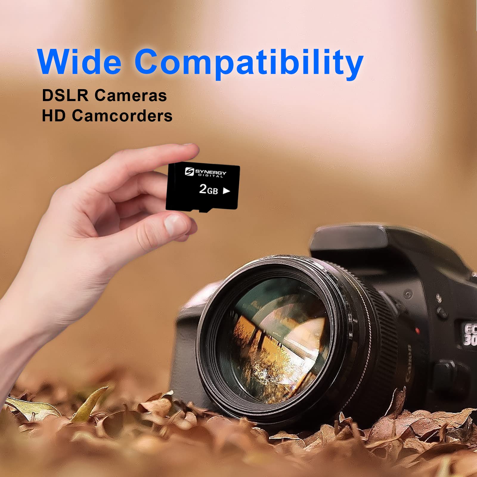 Samsung 2GB microSDHC Card with Adapter for Phones & Cameras