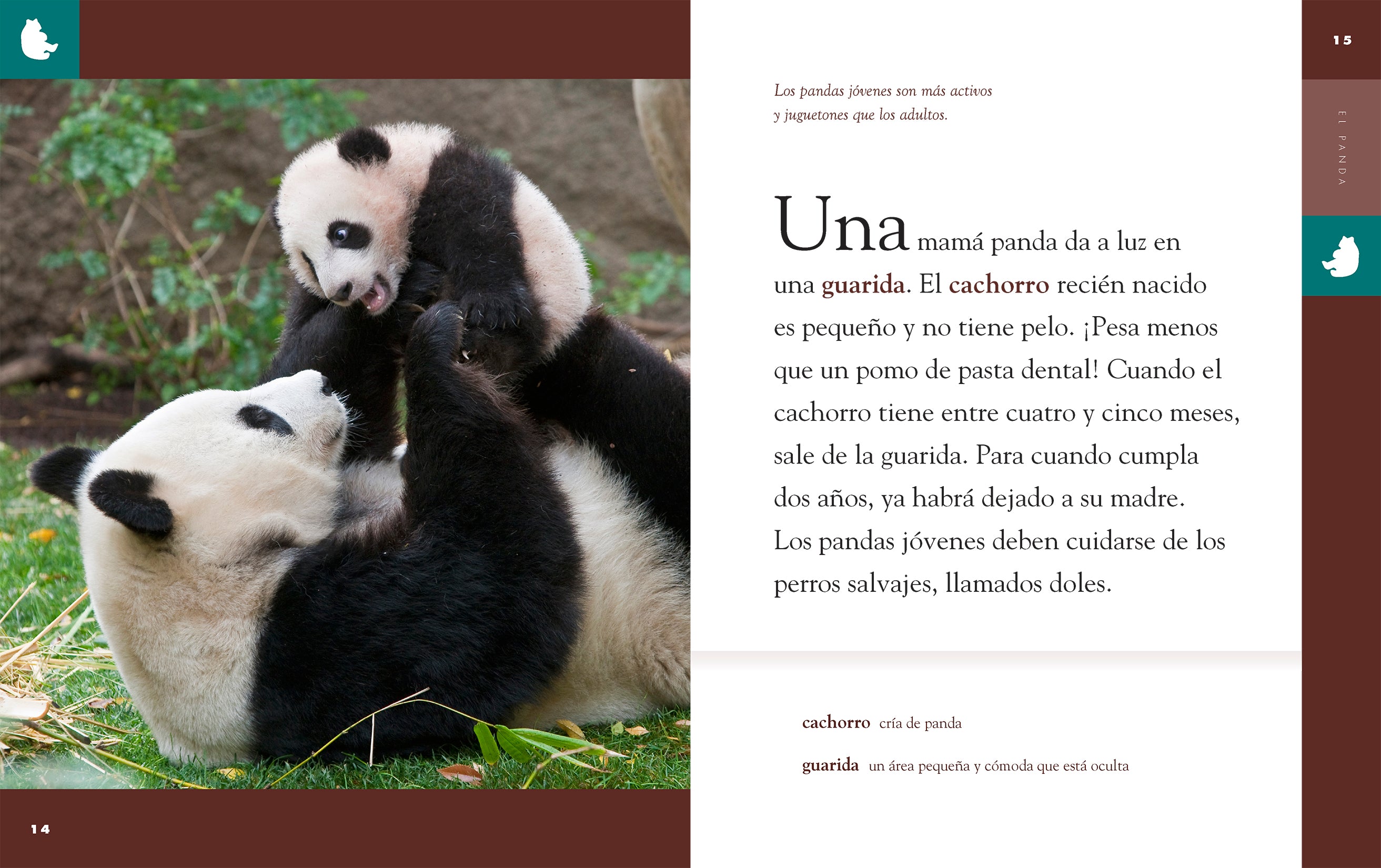 El Panda 9781640264717 - Bilingual Children's Book for Early Learning & Reading - Perfect for Bedtime Stories & Classroom Activities