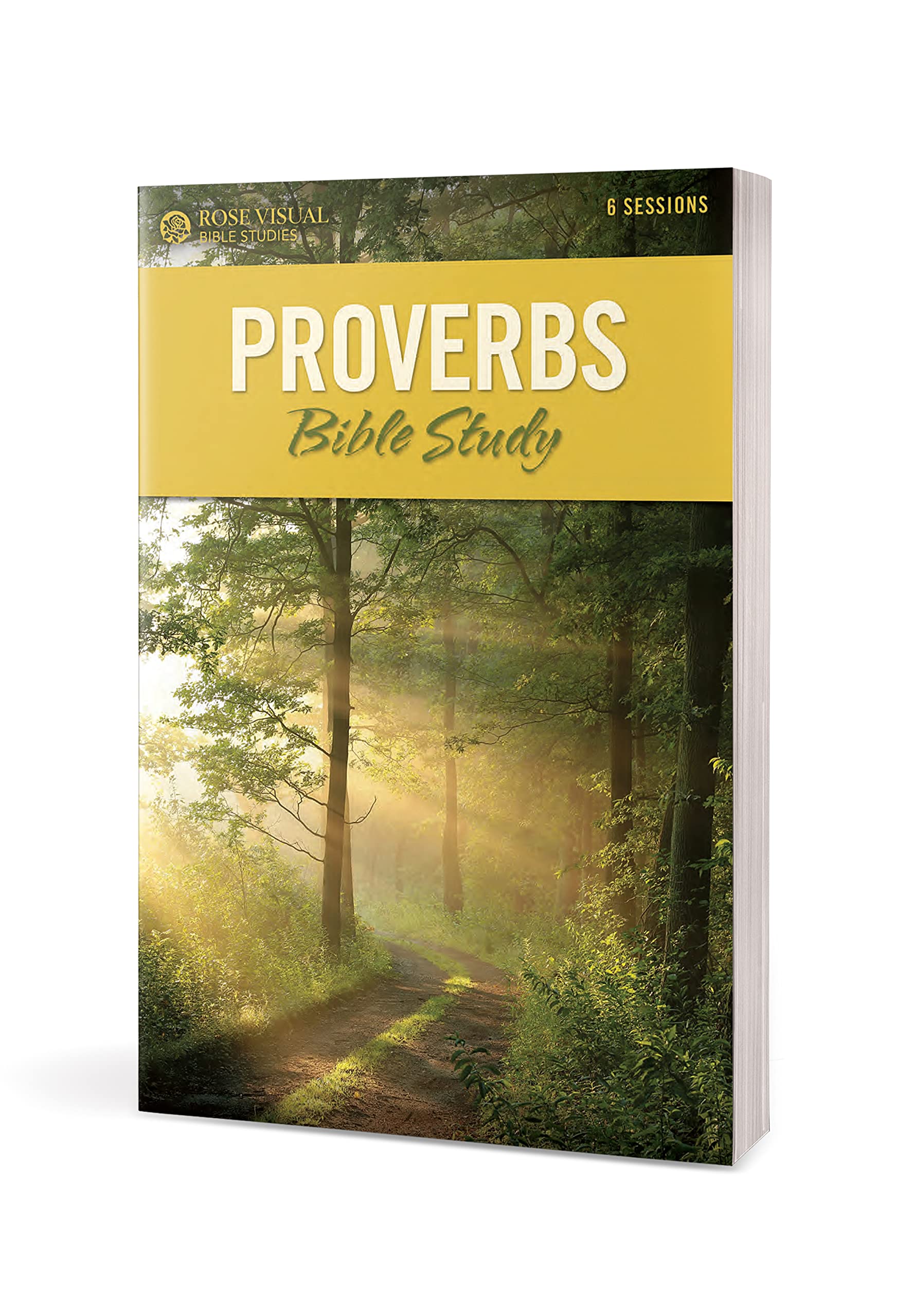 Proverbs Bible Study Book - Rose Visual Bible Study Series for Christian Devotion & Scripture Learning | Perfect for Small Groups, Personal Reflection & Church Teaching