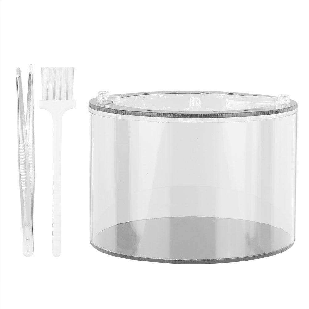 Valentine's Day Gift - Acrylic Rotatable Reptile Feeding Box for Lizards, Spiders & Small Pets - Durable Climbing Pet Food Dish for Terrariums & Habitats - Perfect for Valentine's Surprise & Reptile Enthusiasts