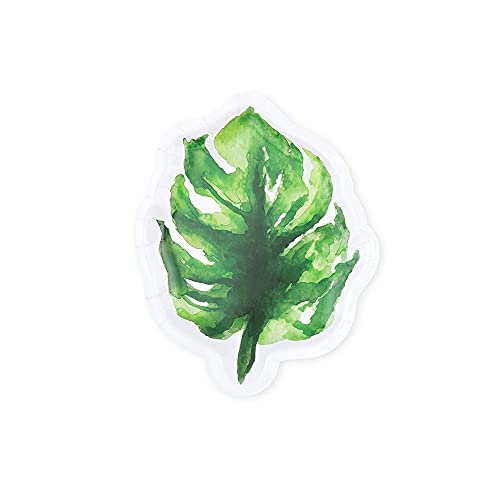 Monstera