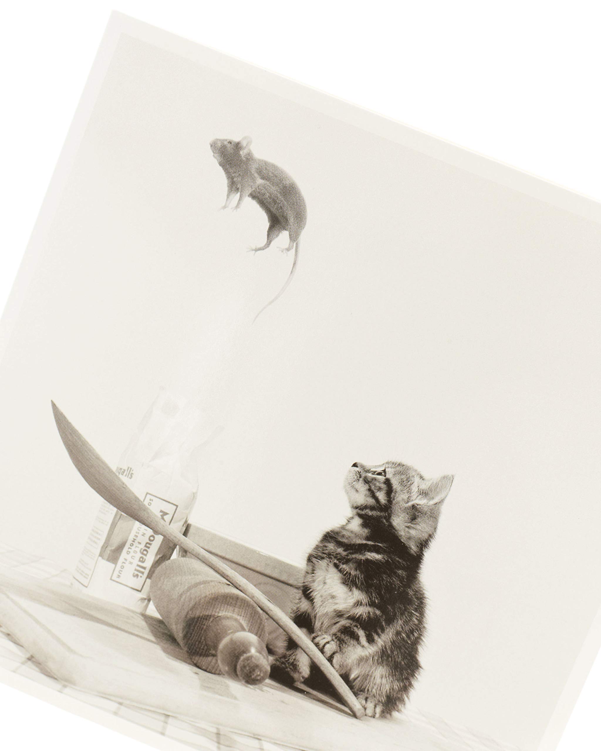Funny Cat and Mouse Birthday Card - Blank Inside Greeting Card for Any Occasion - Humorous Kitten Themed Card - Perfect for Birthdays, Anniversaries & Special Events