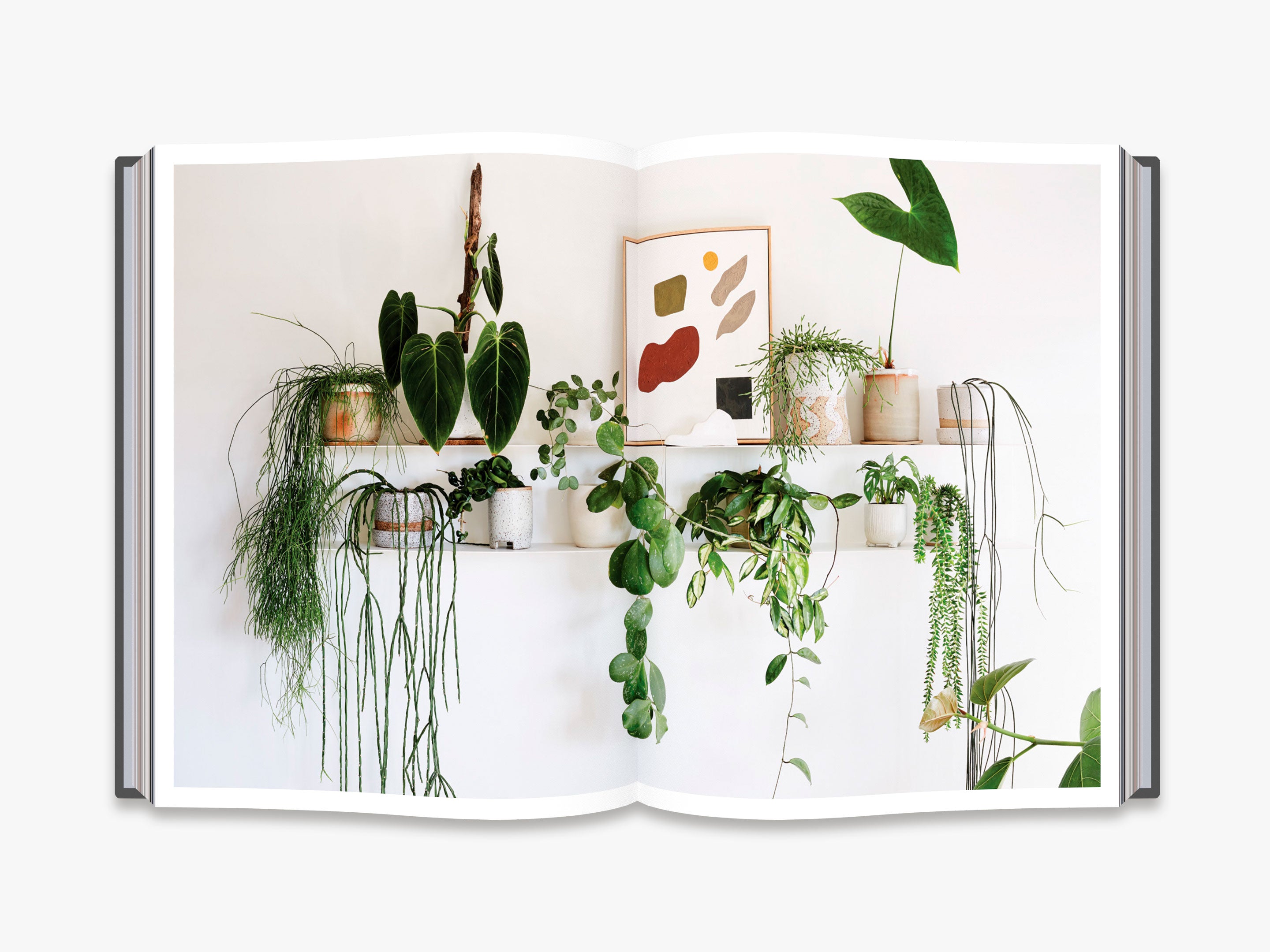 Nature Style Home Decor - Eco-Friendly & Sustainable Products for Modern Living | Perfect for Boho, Farmhouse & Minimalist Interiors
