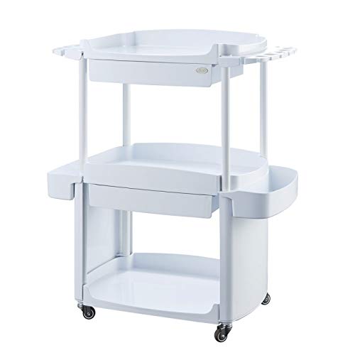 Professional Esthetician Cart for Spa & Salon - Beauty & Medical Storage Cart with Wheels - Perfect for Facial Treatments, Waxing, and Massage Therapy