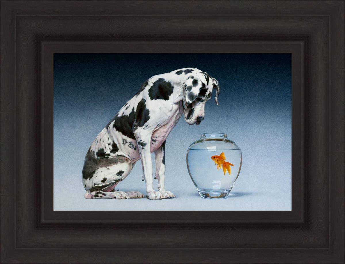 Dane And Fish By Chris Young - Premium Fishing Gear & Accessories for Outdoor Enthusiasts | Perfect for Freshwater & Saltwater Fishing Adventures