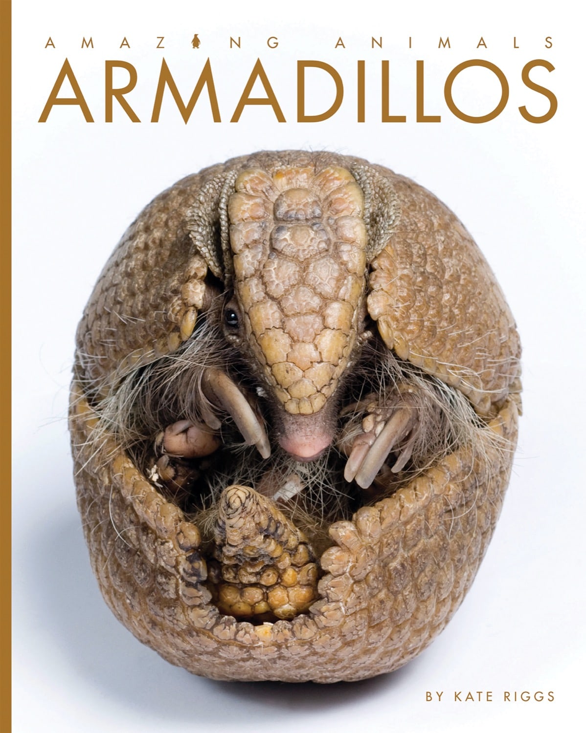 Amazing Animals (2014): Armadillos - Educational Wildlife Documentary for Kids & Adults | Perfect for Classroom Learning & Family Movie Nights