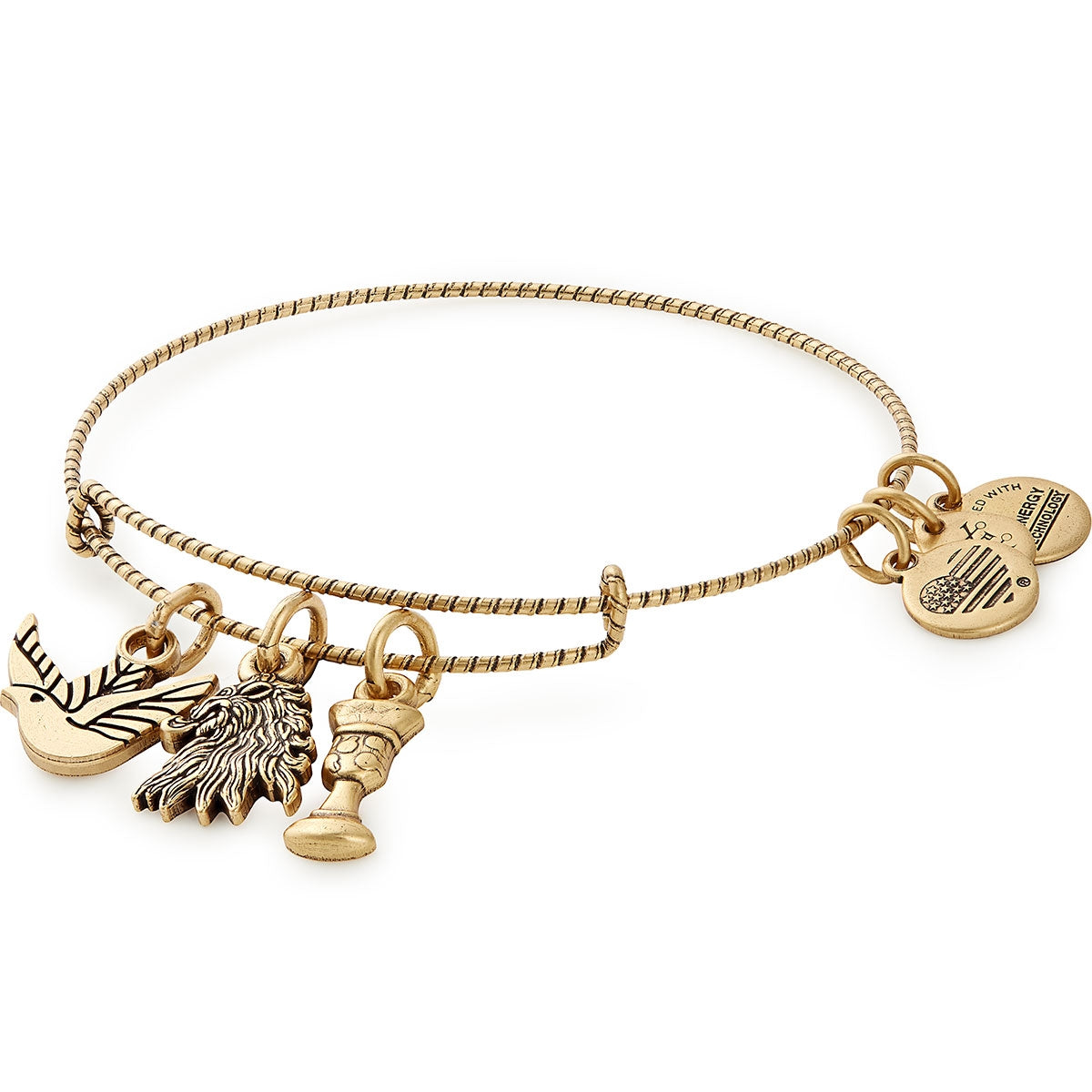 Game of Thrones™ House Lannister Charm Bracelet - Official Licensed Jewelry for Fans & Collectors - Perfect for Cosplay, Gifts & Medieval Theme Parties