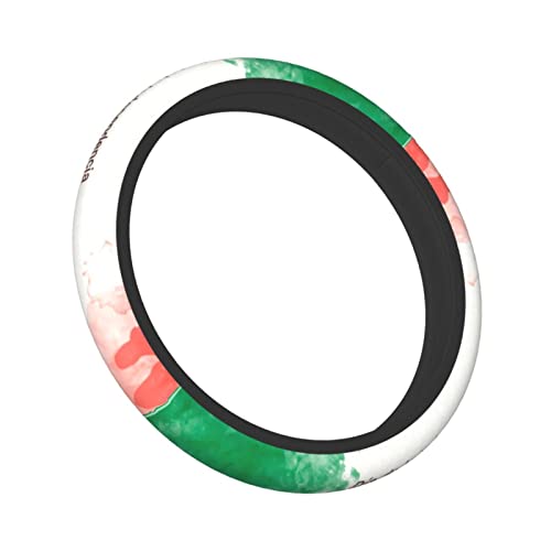 Viva Mexico Mexican Flag1