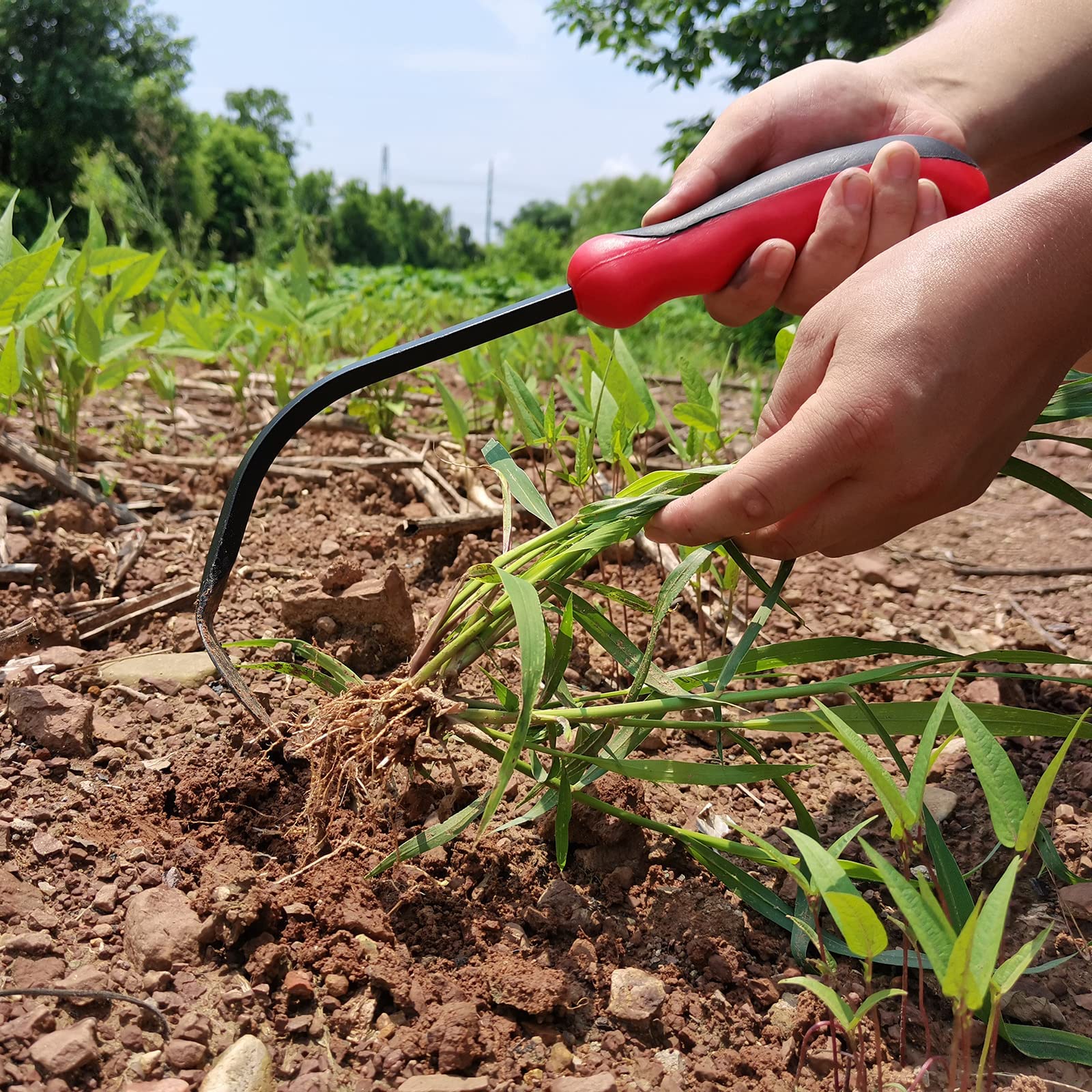 Stainless Steel Weed Puller Tool - Ergonomic Handle Garden Hook & Hand Cultivator for Easy Weeding | Perfect for Yard, Lawn, Garden Maintenance & Outdoor Gardening Tasks