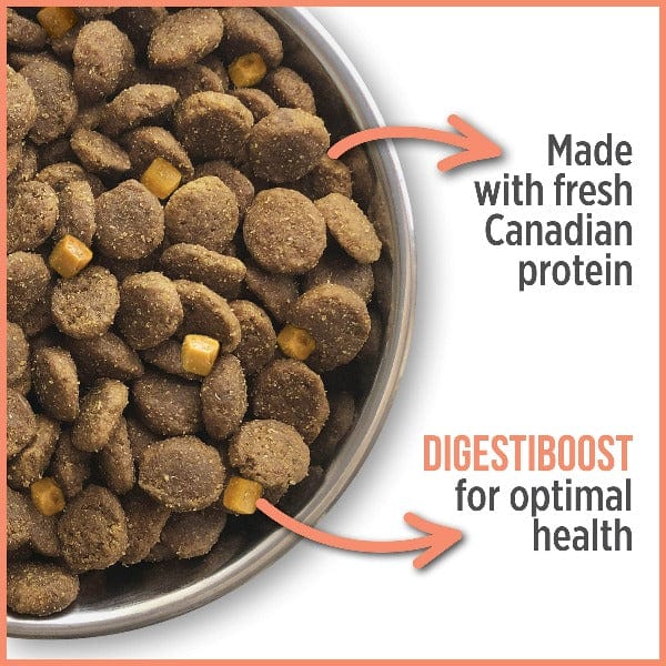 Nutrience Care+ Hypoallergenic Dry Dog Food for Sensitive Skin & Stomach - Grain-Free, Digestive Health Support - Perfect for Dogs with Allergies & Food Sensitivities