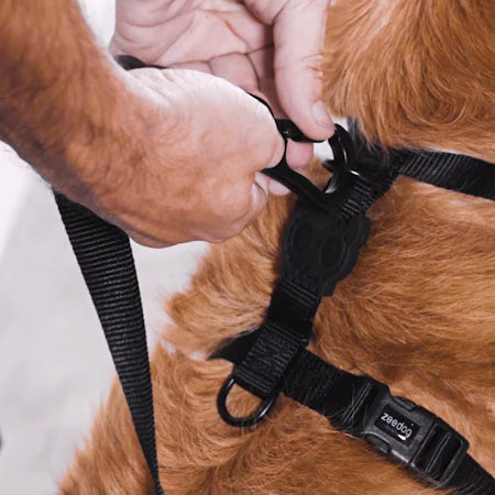 Neopro Bubblegum H Harness for Dogs by Zee.Dog - Adjustable Pet Harness for Small & Medium Dogs, Perfect for Walking, Running & Outdoor Adventures