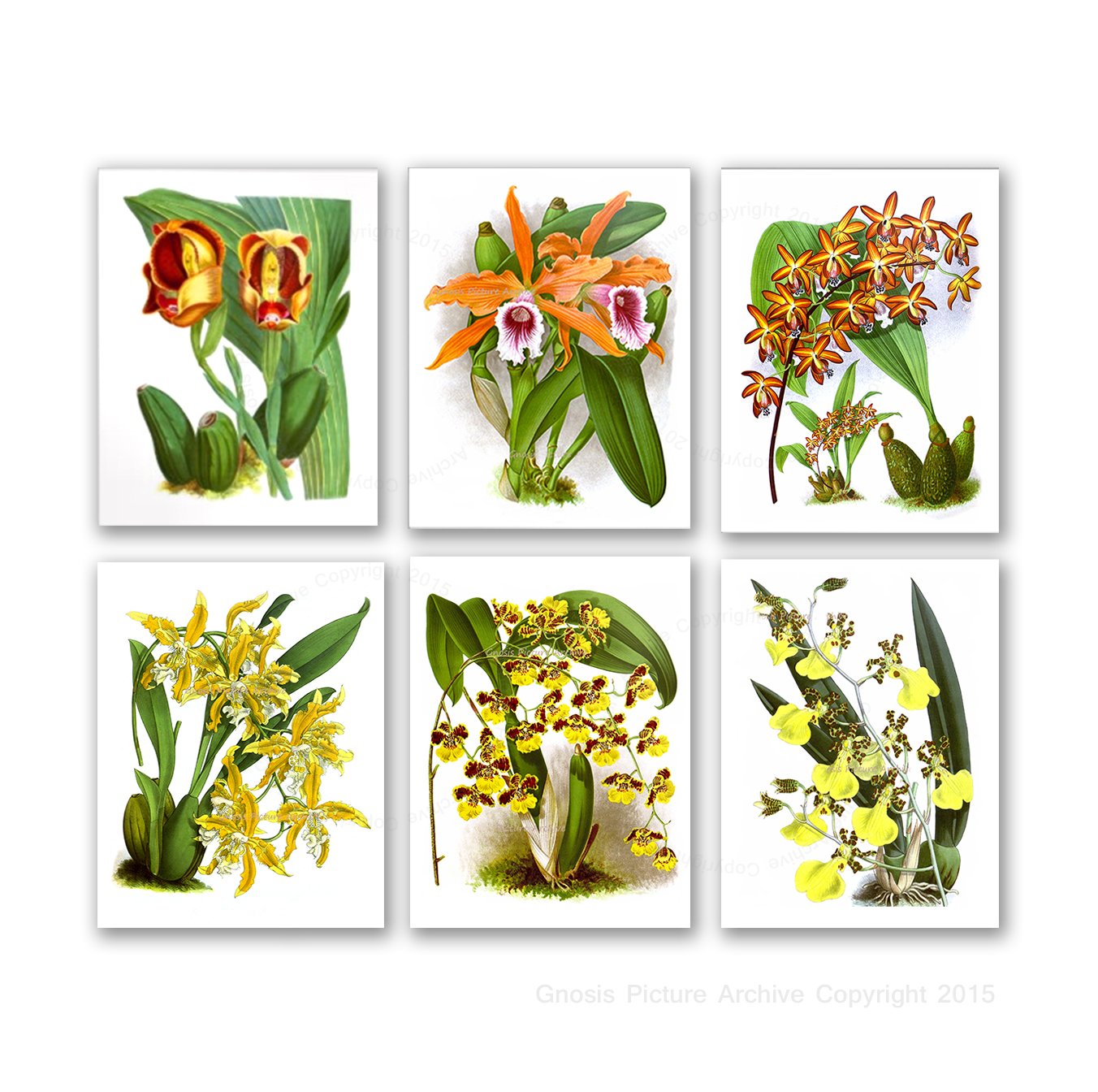 Set of 6 Tropical Orchid Wall Art Prints - Orange & Yellow Unframed Canvas Paintings for Living Room, Bedroom, Office Decor | Vibrant Floral Home Decorations Perfect for Housewarming Gifts & Interior Design