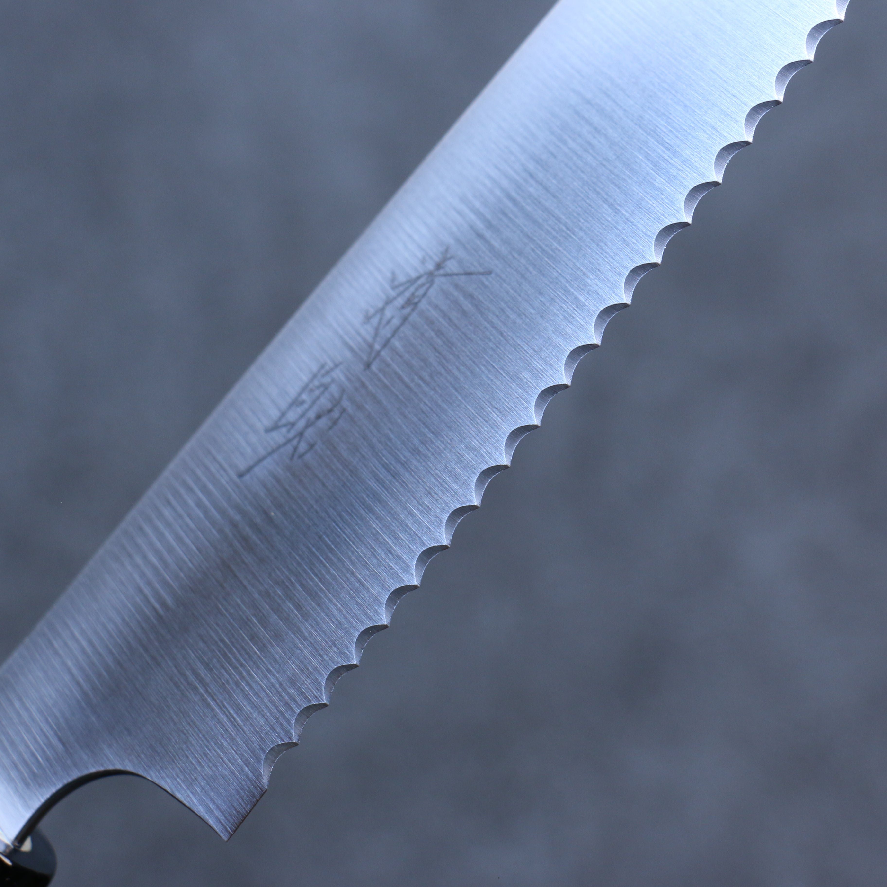 Premium Seisuke 240mm Stainless Steel Bread Knife with Magnolia Wood Handle - Perfect for Slicing Artisan Bread, Baguettes, and Homemade Loaves