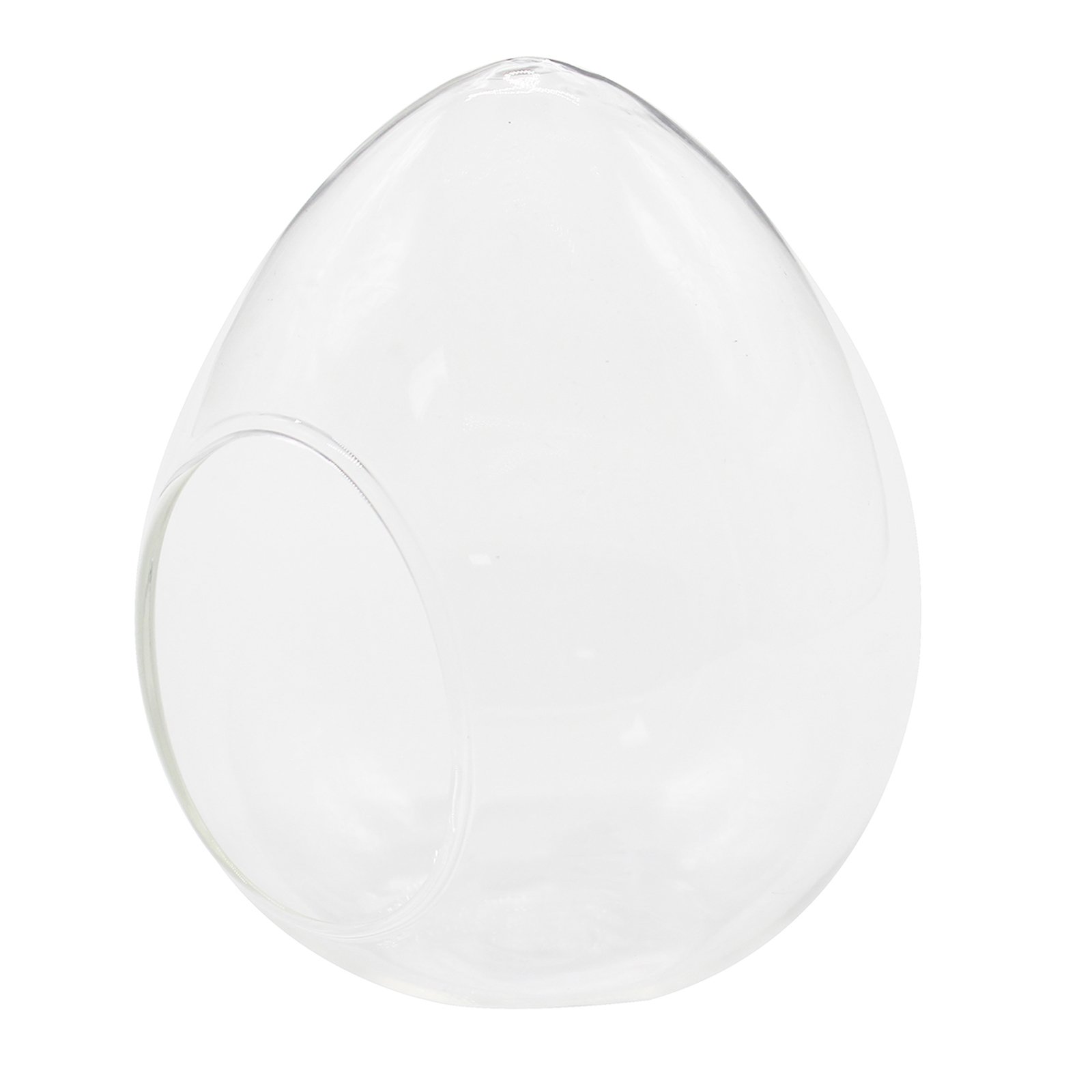 Elegant Oval Glass Terrarium Bowl - Decorative Plant Container for Succulents, Air Plants & Mini Gardens - Perfect for Home, Office & Wedding Decor