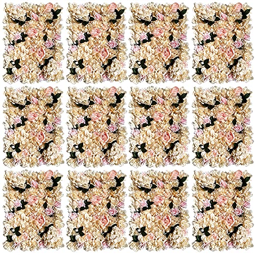 12Pcs Champagne