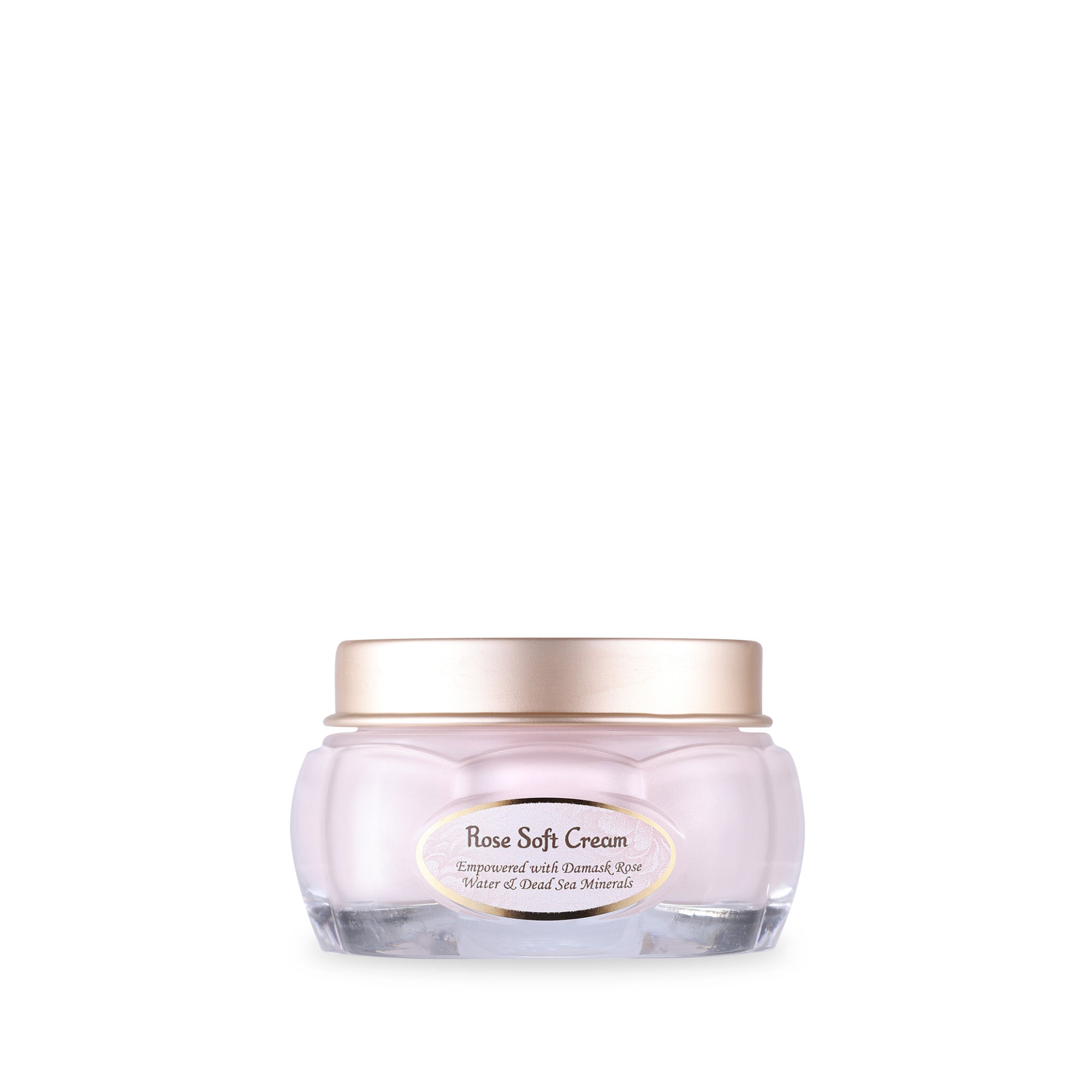 Rose Soft Cream 80mL - Hydrating & Nourishing Face Moisturizer for Dry Skin | Day & Night Use for Glowing Complexion
