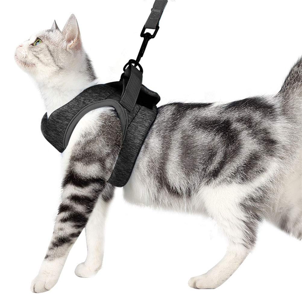 Small Dog Harness & Cat Vest Harness - Adjustable Pet Chest Strap with Leash for Walking, Training & Outdoor Adventures