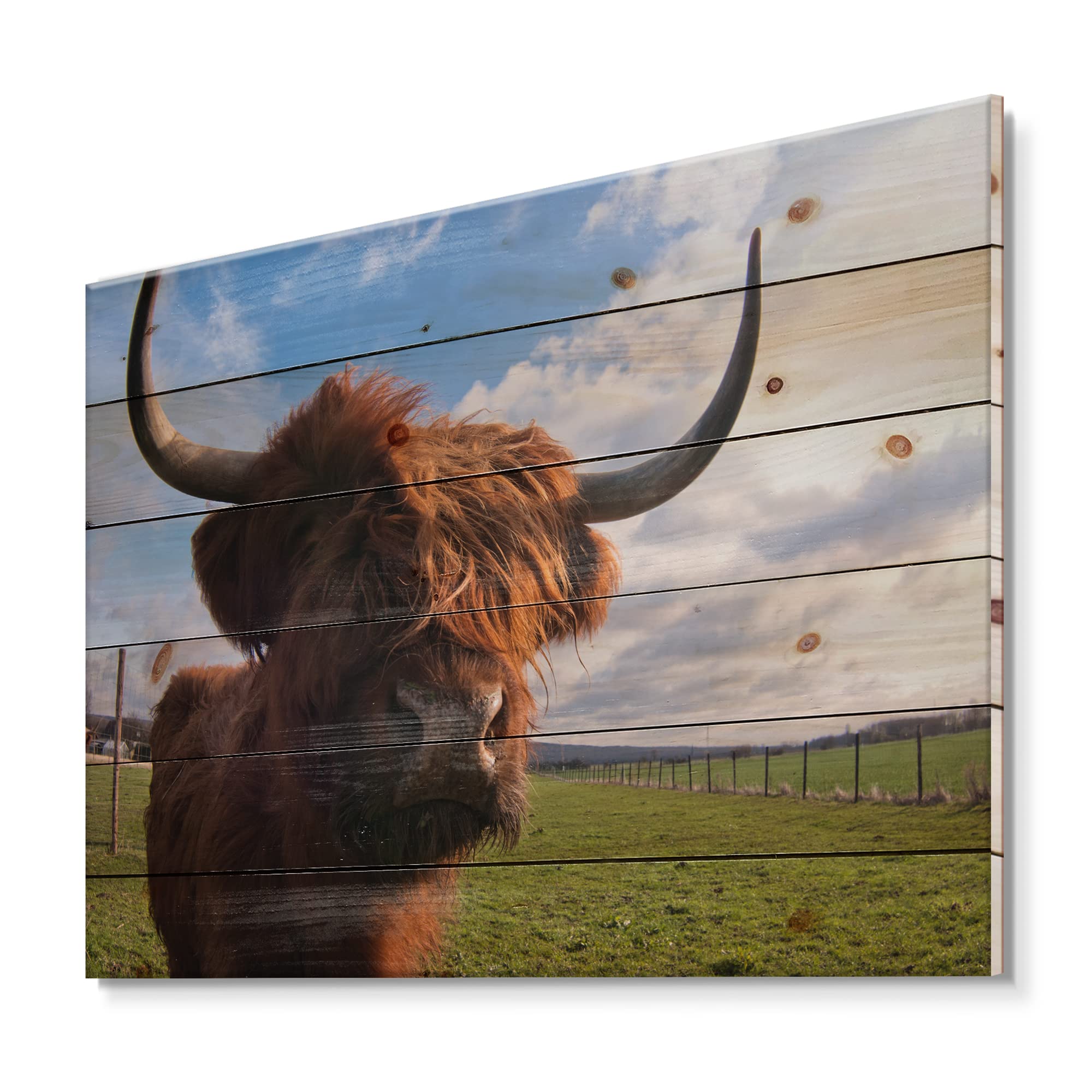 DesignQ Yak Portrait Farmhouse Wood Wall Decor - Brown Wood Wall Art, Large Animal Wood Panels Printed on Natural Pine - Perfect for Living Room, Bedroom & Rustic Home Decor