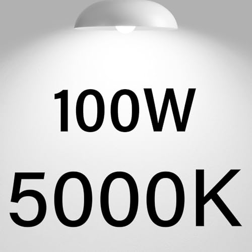 100w-daylight