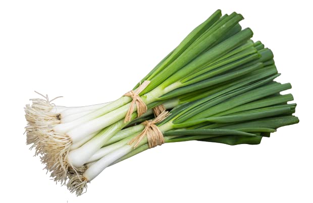 Organic Tokyo Long White Bunching Onion Heirloom Seeds - Non-GMO, 1g Packet for Home Gardening, Cooking & Fresh Salads