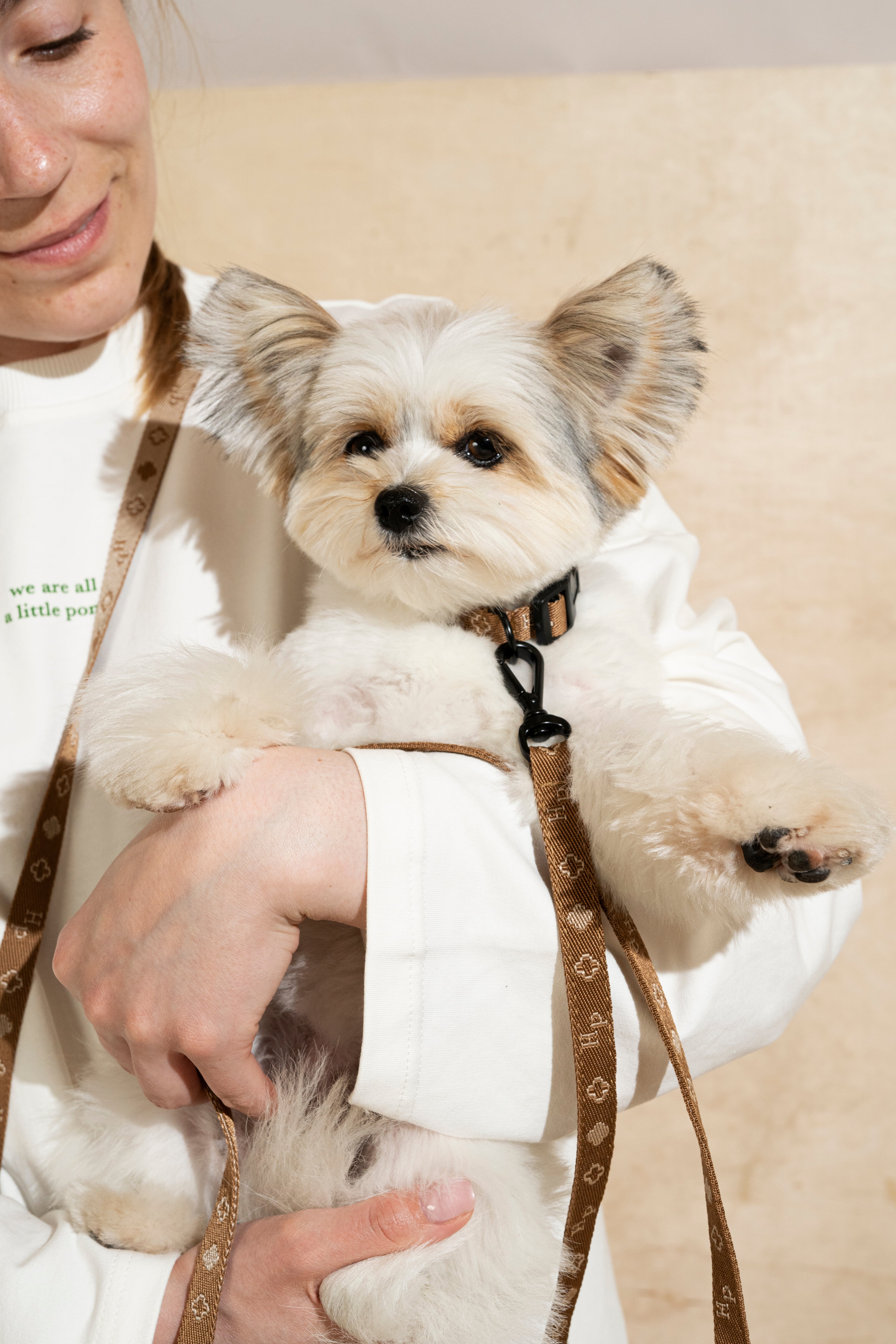 Mini Ginger Pony Collar for Dogs - Comfortable & Adjustable Pet Accessory for Small Breeds - Perfect for Daily Walks, Training & Outdoor Adventures
