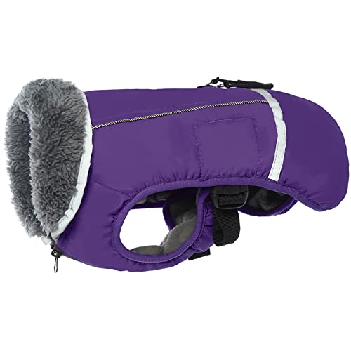 Upgraded Purple