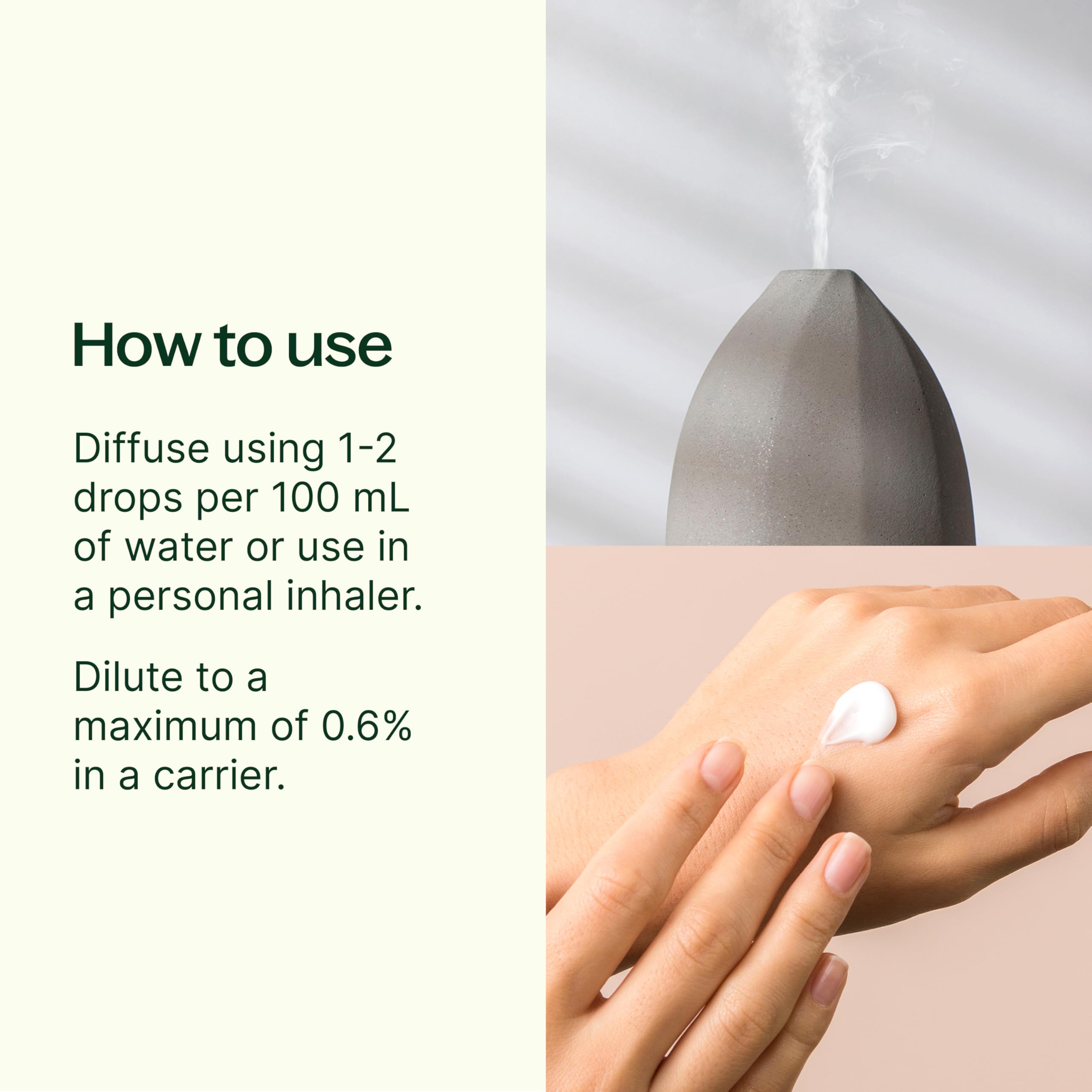 Plant Therapy Rose Otto Essential Oil 5 mL (1/6 oz) - 100% Pure, Undiluted, Therapeutic Grade for Aromatherapy, Massage & Skin Care | Natural Stress Relief & Emotional Balance