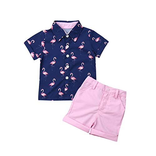Flamingos Shirt+pink Shorts