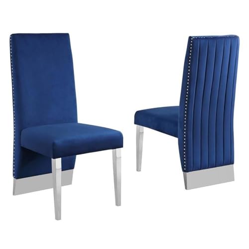 Navy Blue / Silver