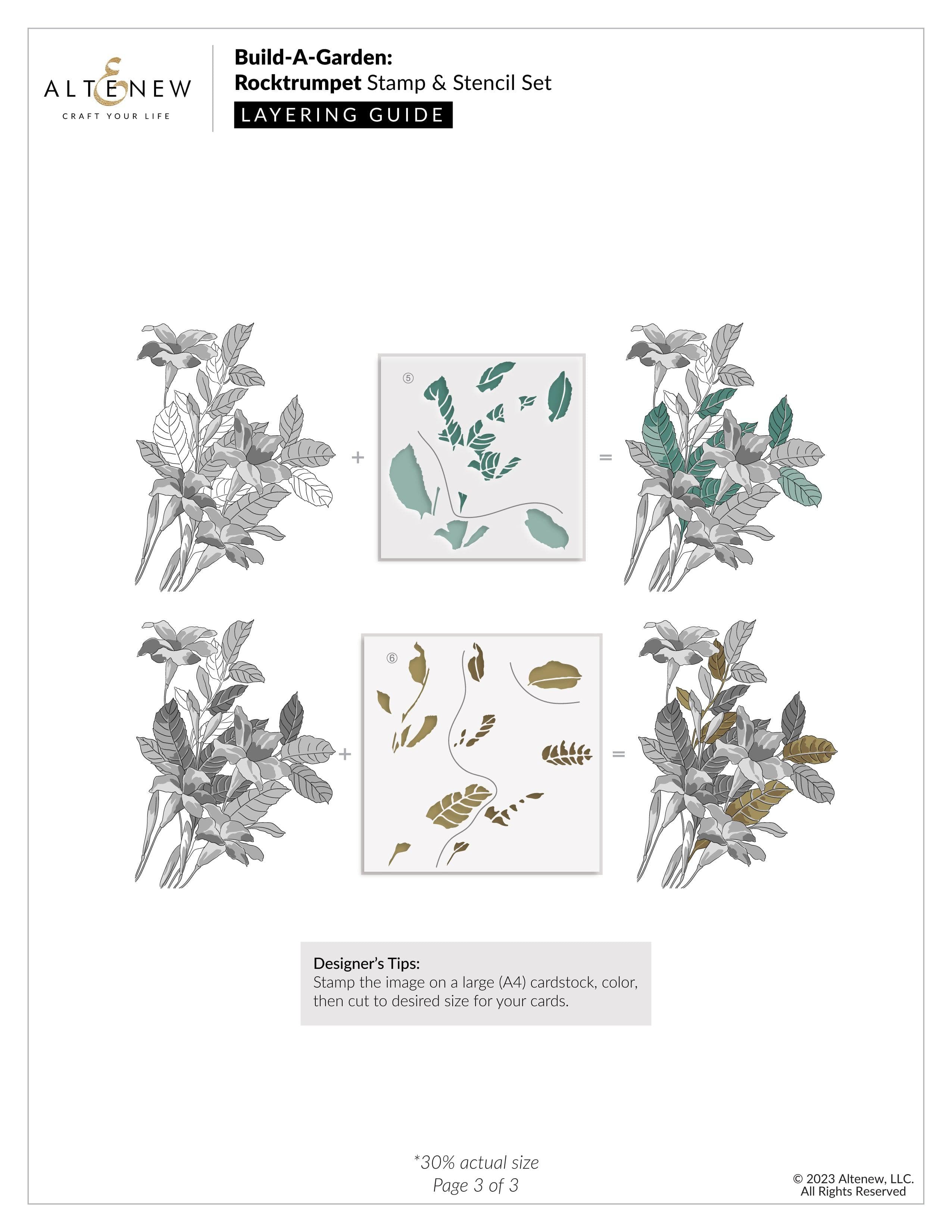 Build A Garden: Rocktrumpet & Exotic Tuberose Flower Bundle for Landscaping, Home Decor, and Wedding Arrangements