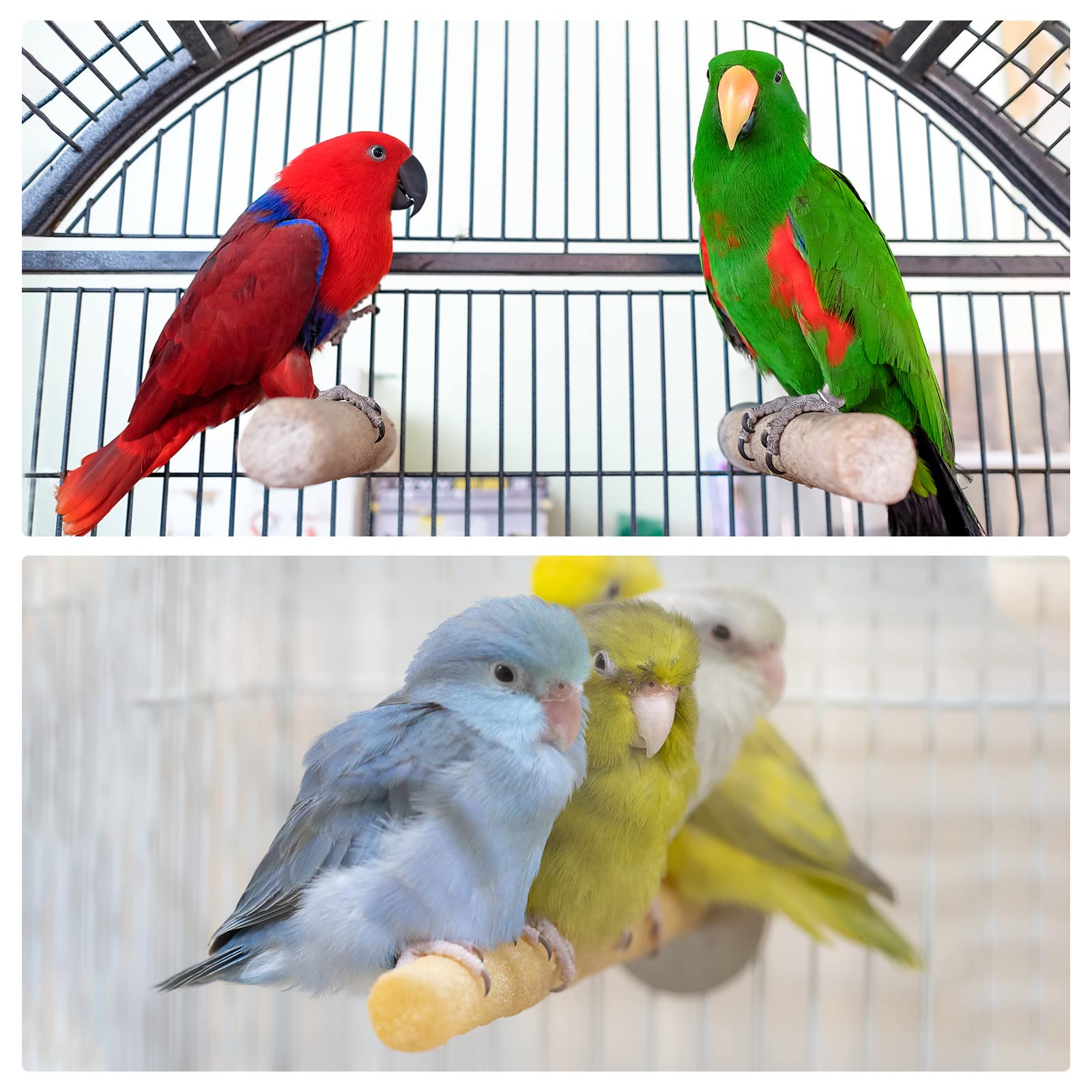 2 Pack PATIKIL Bird Perch Stand Platform - Natural Paw Grinding & Play Area for Parakeets, Cockatiels & Small Birds - Cage Accessory for Cleaning & Exercise (Yellow) - Perfect for Bird Cages, Play Gyms & Training Stations