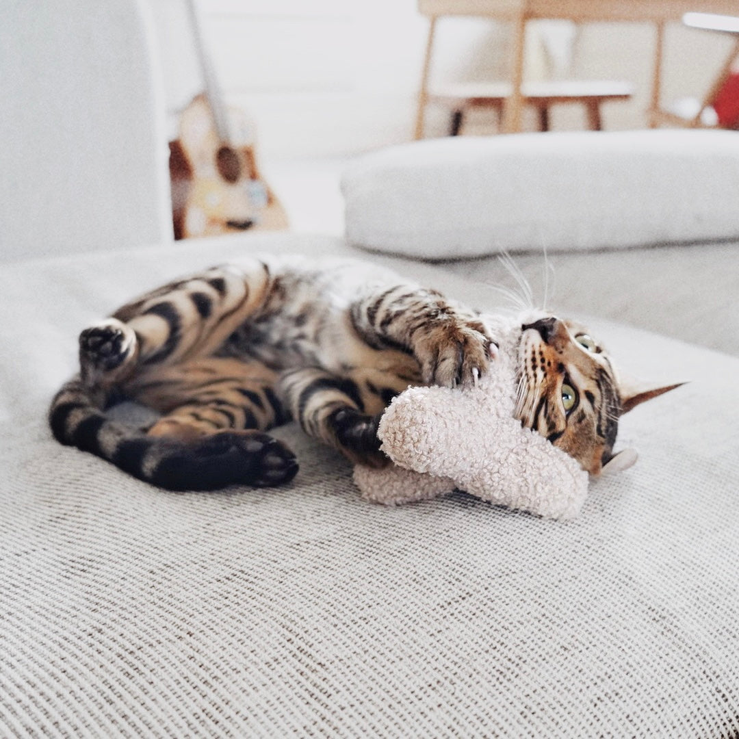 Kitty Breuer - Premium Cat Breuer for Comfort & Style | Perfect for Home, Office & Travel Use