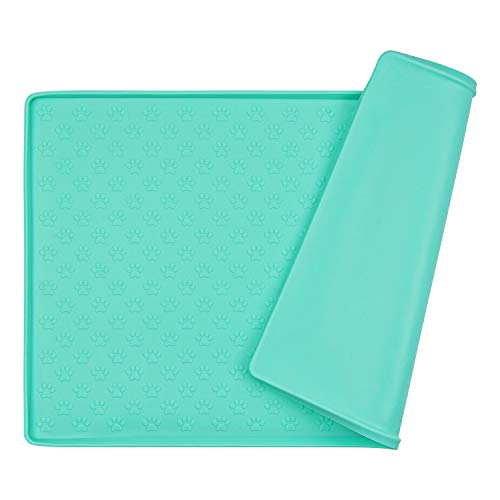 Mint Green Paw Pattern