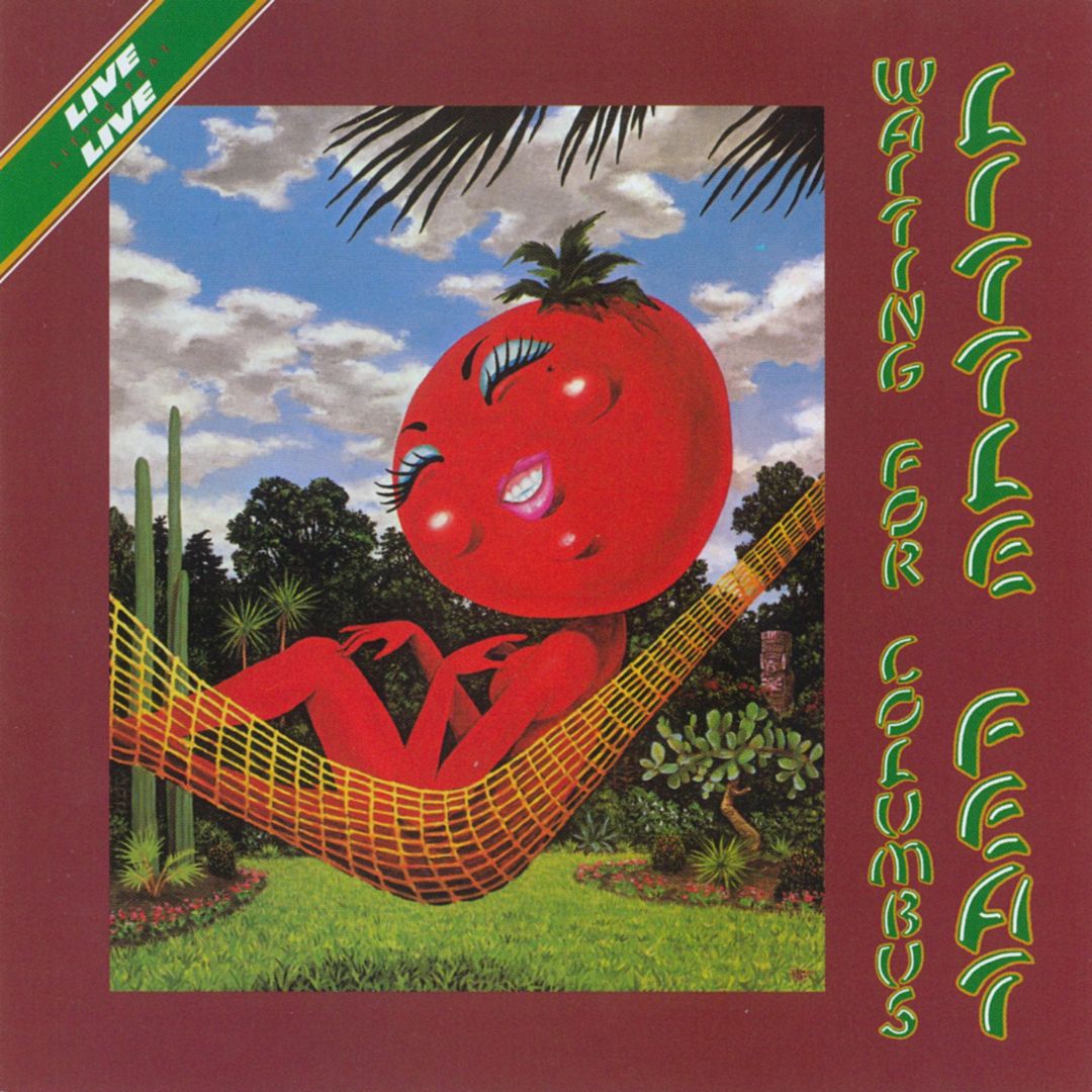 Little Feat 2 - Classic Rock Album | Vinyl, CD & Digital Download | Perfect for Road Trips & Music Collectors