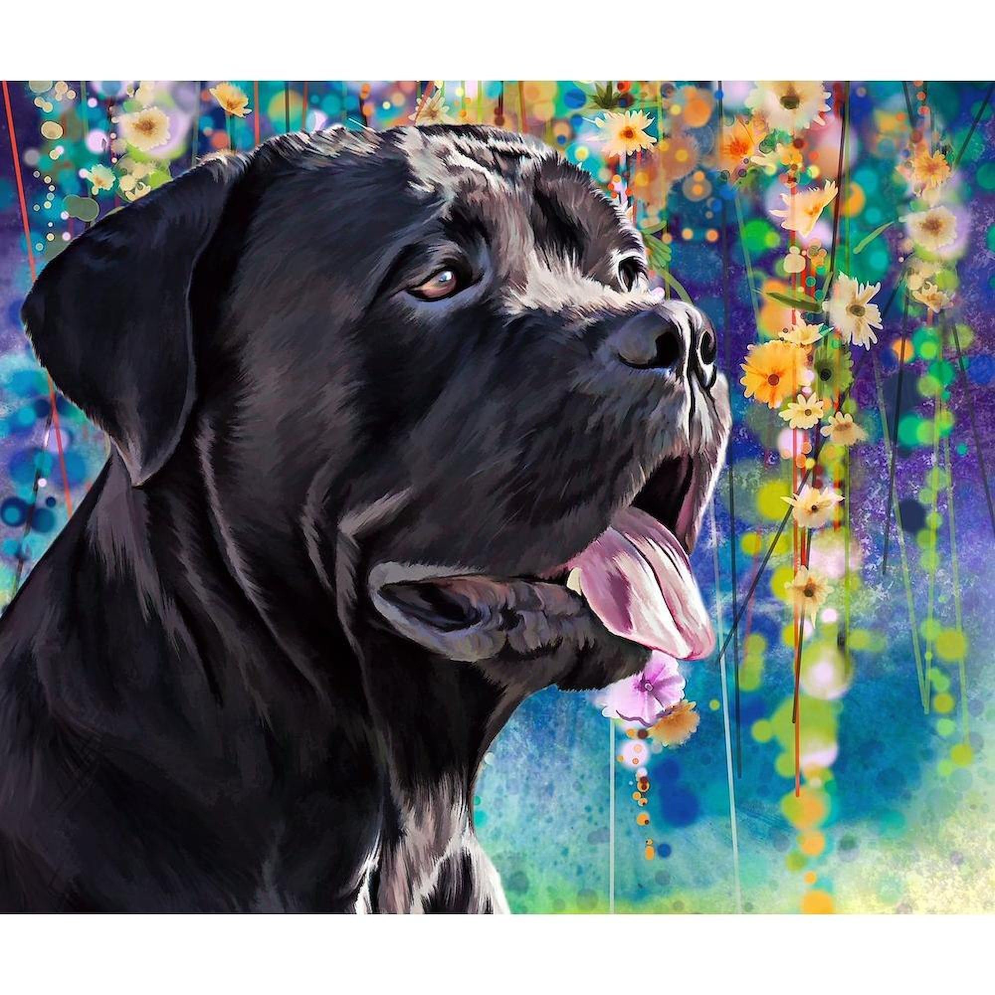 Cane Corso Painting Throw Blanket - Super Soft Fleece Plush Blanket 60