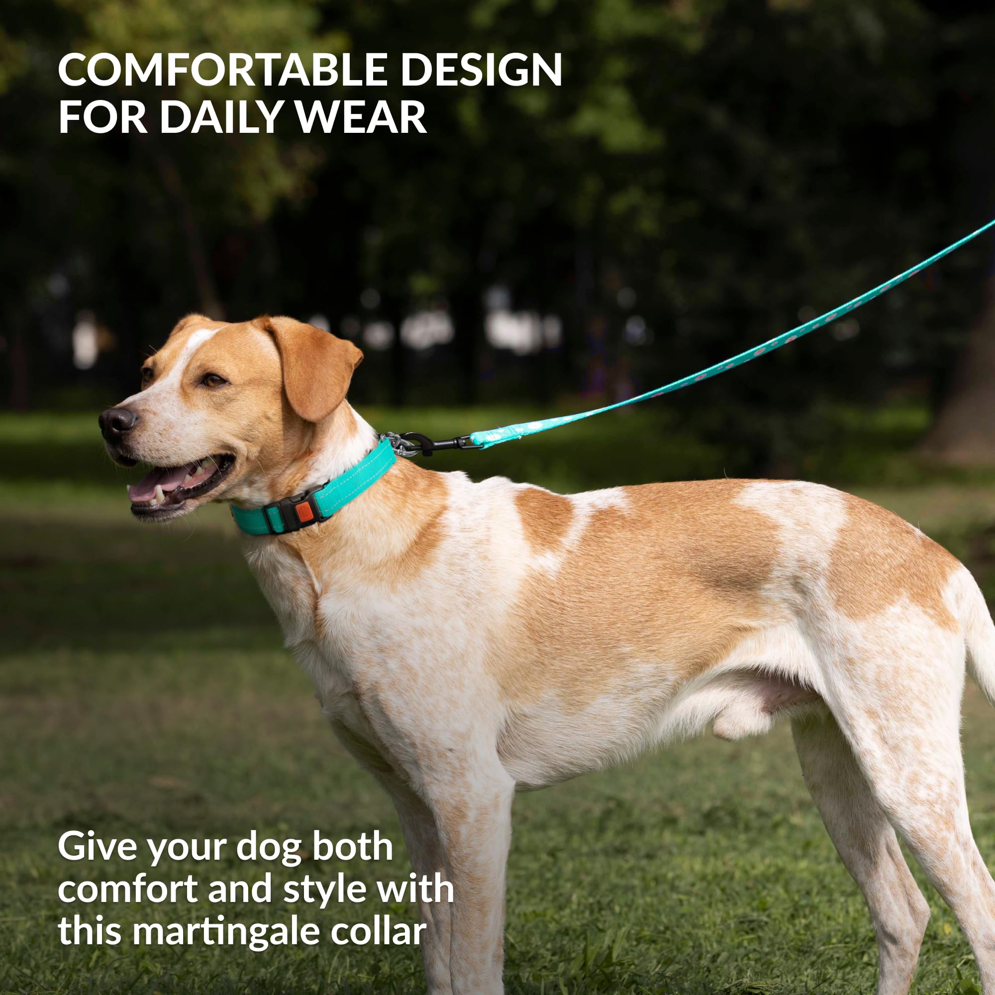 Martingale Dog Collar with Stainless Steel Chain & Quick Release Buckle - Reflective Adjustable Collar for Small Medium Large Dogs (12