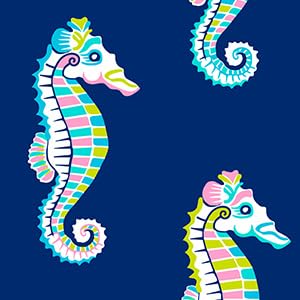 Sea Biscuit