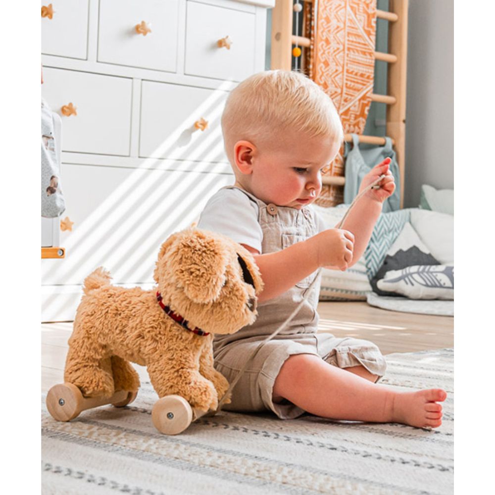Dexter Dog Pull Along Toy - Interactive Pet Toy for Dogs, Fun Pulling & Chewing Play - Perfect for Indoor & Outdoor Playtime