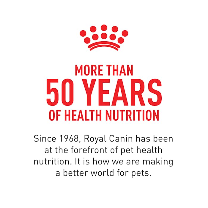 Royal Canin Large Breed Adult Dry Dog Food - 6 lb Bag | Premium Nutrition for Big Dogs | Ideal for Active & Senior Large Breeds