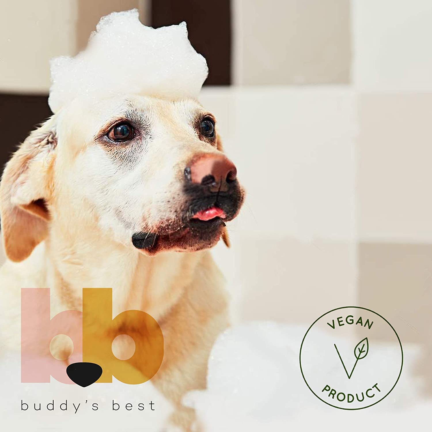 Buddy's Best Natural Dog Shampoo & Conditioner for Smelly Dogs - Moisturizing Puppy Wash for Dry & Sensitive Skin - Citronella Eucalyptus Scent, 16oz | Gentle Bath Solution for Itchy Skin & Odor Control at Home or Grooming Salon