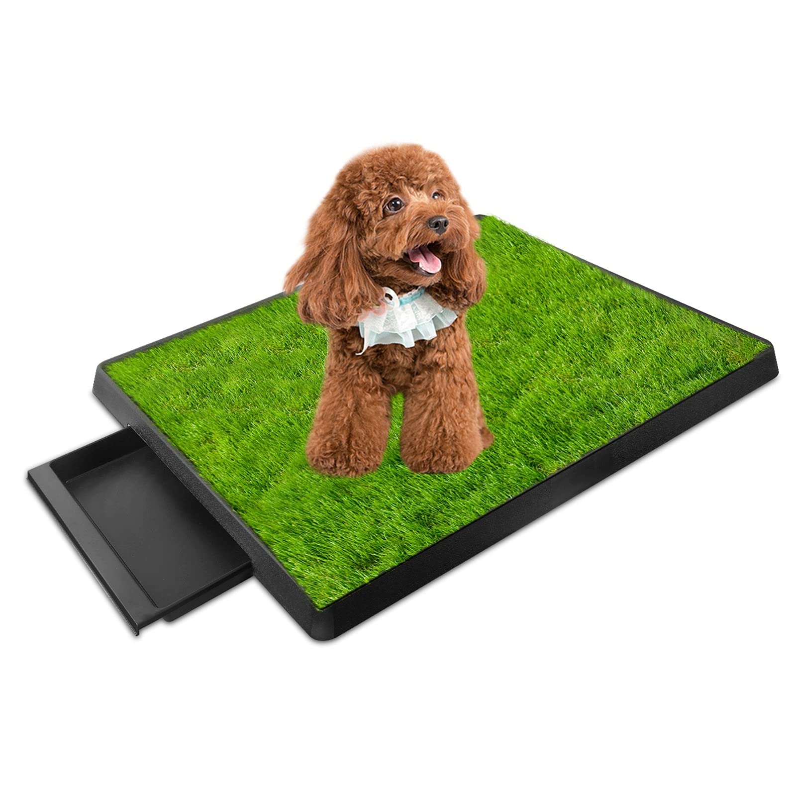 iMounTEK Artificial Grass Patch for Dogs - Indoor & Outdoor Puppy Potty Training Pad with Tray - Realistic Fake Grass for Small & Medium Dogs - Perfect for Balcony, Patio, or Apartment Use