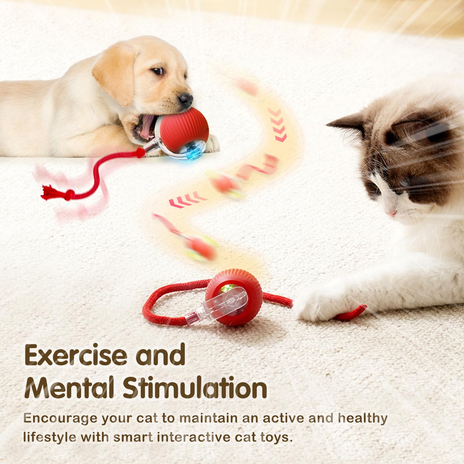 Interactive Cat & Dog Toy Ball - Self Moving 360° Rolling Electric Ball for Indoor Cats & Dogs - Automatic Pet Play Toy for Exercise & Fun (Red) - Perfect for Playtime, Training & Keeping Pets Active