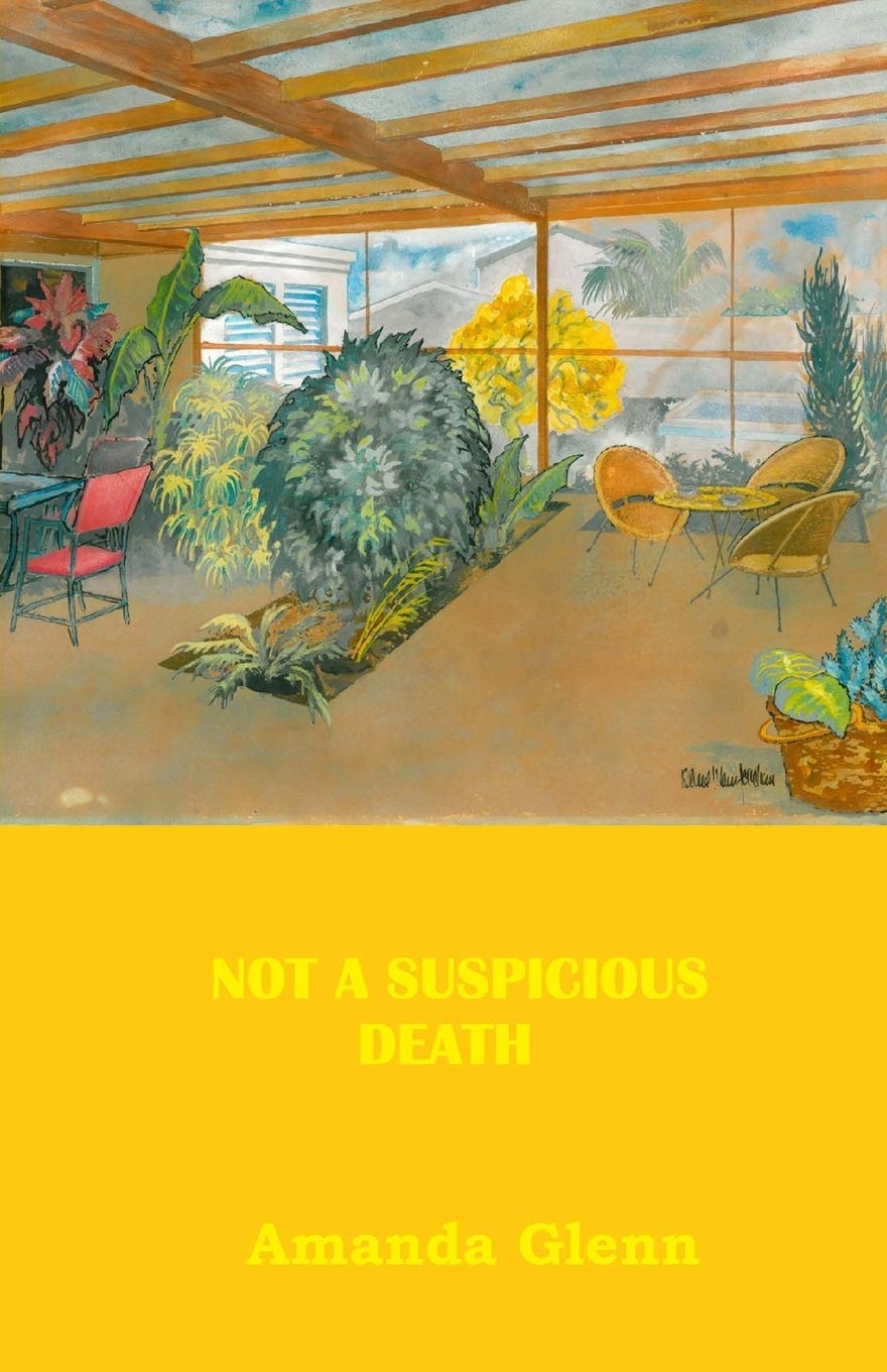 Not A Suspicious Death - Teddy Books Mystery Novel | Gripping Crime Thriller for Book Clubs & Mystery Lovers