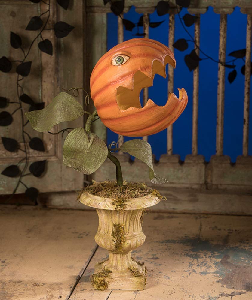 Prickly Pumpkin Plant - Unique Decorative Succulent for Home, Office & Garden | Perfect for Halloween & Fall Decor